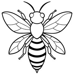 illustration of a bee