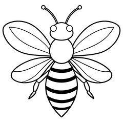 vector illustration bee
