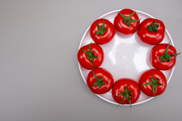 Red ripe tasty Dutch tomatoes growing indoor in greenhouse all seasons, food industry in Netherlands close up copy space