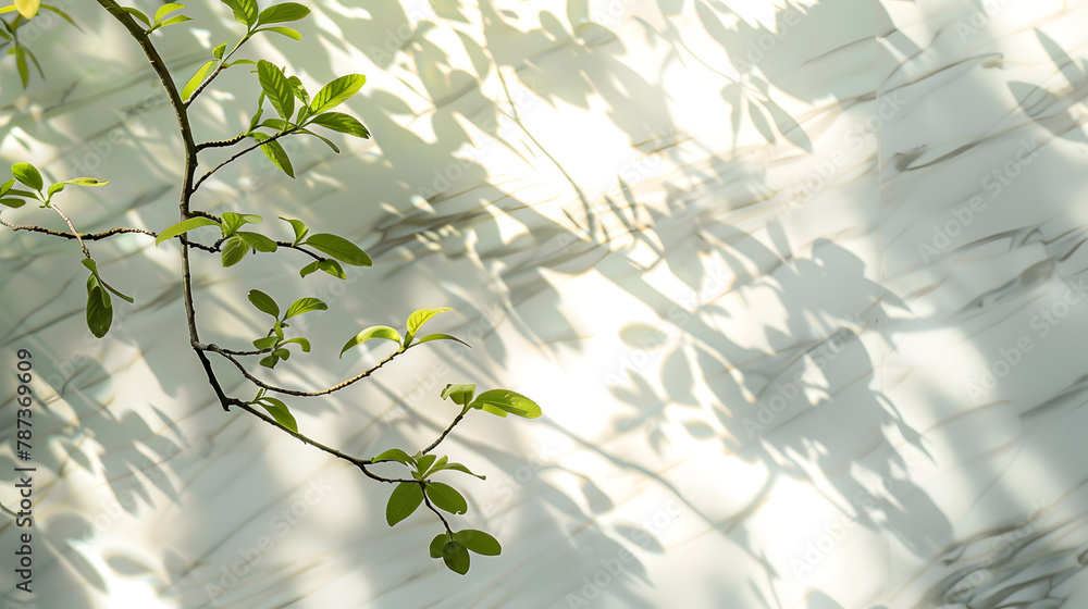 Poster spring sunlight in green branch of tree with shadow on white marble tile wall wood table copy space 