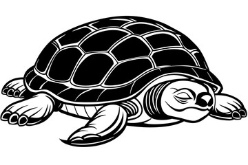 the-turtles-are-sleeping   vector illustration