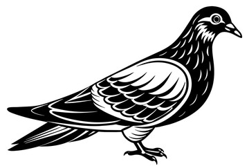 transform-your-brand-with-our-iconic-pigeon-    vector illustration