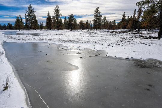 Winter Landscape in Turnbull National Wildlife Refuge, WA