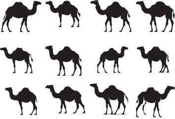 Camel Silhouette Vector Illustration