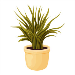 Vector illustration of a potted houseplant with leaves