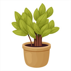 Vector illustration of a potted houseplant with leaves
