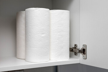 a roll of paper towel stands in the kitchen cabinet