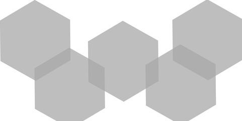 Fototapeta premium Abstract gray hexagon and hexagonal lines on white background. abstract 3d hexagonal background with shadow. Vector illustration. Hexagonal honeycomb pattern background with space for text.