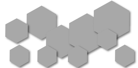 Abstract gray hexagon and hexagonal lines on white background. abstract 3d hexagonal background with shadow. Vector illustration. Hexagonal honeycomb pattern background with space for text.