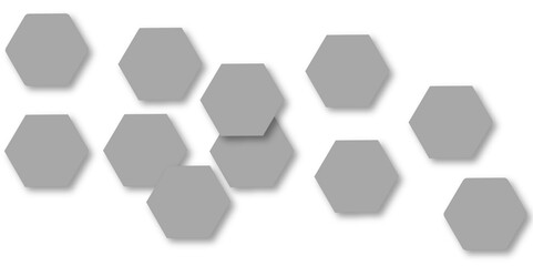 Abstract gray hexagon and hexagonal lines on white background. abstract 3d hexagonal background with shadow. Vector illustration. Hexagonal honeycomb pattern background with space for text.