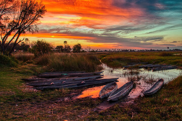 Mokoros in the sunset, Okawango Delta, Botsuana