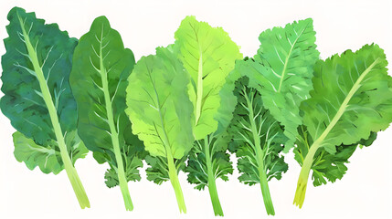fresh green leafy vegetables - obrazy, fototapety, plakaty