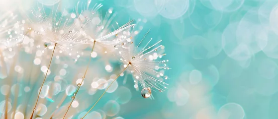 Fotobehang Dew-covered dandelion seeds against a bokeh blue background. Minimal banner with copy space. Generative AI © Odin