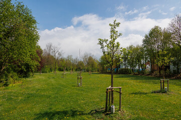 A path in a park with fruit trees and urban gardening in Königsbrunn near Augsburg in Bavaria on a...