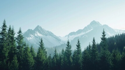 Clear sky by mountain and extensive tree forest - obrazy, fototapety, plakaty