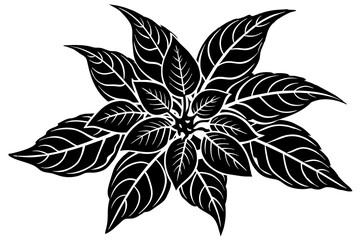 Balsam vector illustration white background