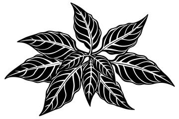 Balsam vector illustration white background