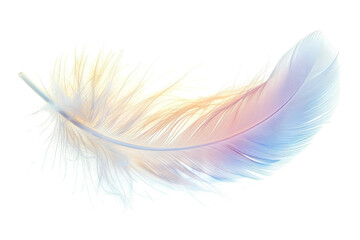 Delicate white feather with fine detail isolated on transparent background