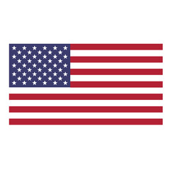 America Flag Vector