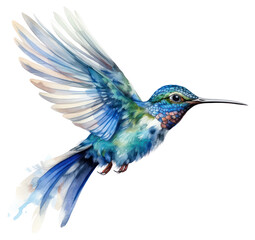 Fototapeta premium PNG Hummingbird animal flying creativity. 