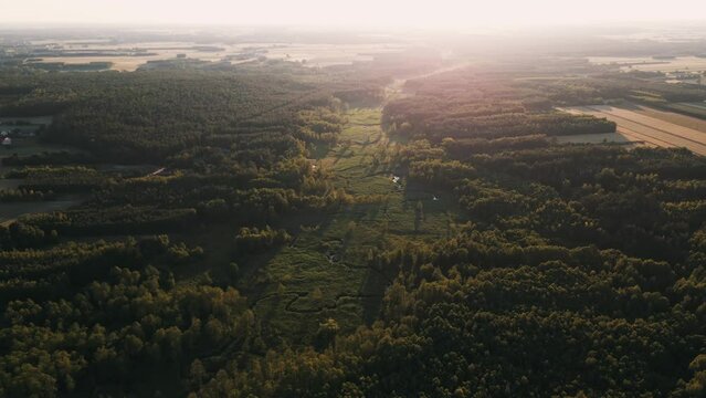 Drone flight over a forest landscape with narrow winding river surrounded by greenery at sunset time