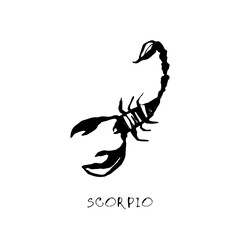 Scorpio zodiac sign, quirky horoscope icon, hand drawn vector illustration, black line art, tattoo design