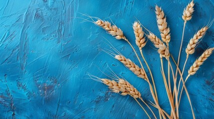 ears of wheat on a old blue background, Copy space for text