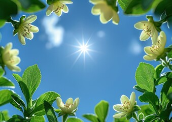 Sun shining through green leaves of a plant
