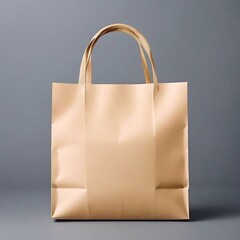 brown bag isolated on white