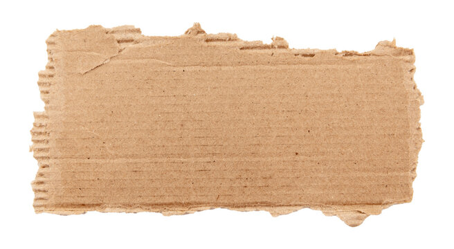 Piece of torn cardboard on a white background. Torn cardboard isolate