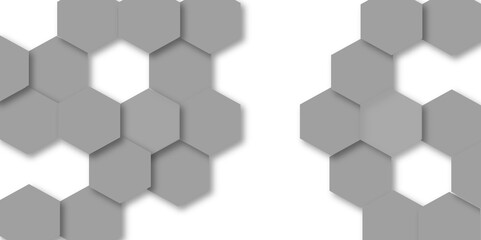 Fototapeta premium Abstract gray hexagon and hexagonal lines on white background. abstract 3d hexagonal background with shadow. Vector illustration. Hexagonal honeycomb pattern background with space for text.