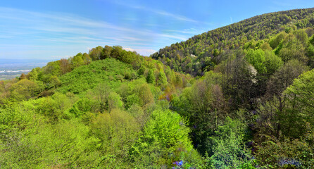 View of a nature walk in Duzce, Turkey