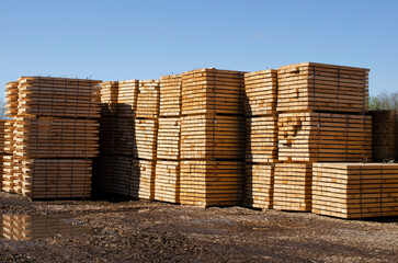 Rough pine lumber stacked at the sawmill. Pine timber. Woodworking plant and sawn timber in stacks for shipment for export. Wooden boards, lumber, commercial timber.