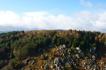 Mountain Landscape in Ireland, A forest on a rocky hill.