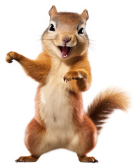 PNG Happy smiling dancing squrirel squirrel mammal animal