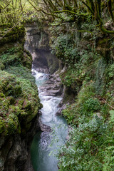 Martvili canyon in Georgia. Beautiful natural canyon with mountain river. - 787419096