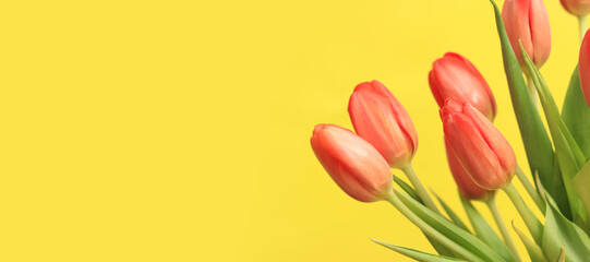 A bouquet of pink tulips lies on a yellow background, top view. Flowers for banners and cards. Bouquet for Mother's Day or other holiday. Tulips on a bright background with copy space