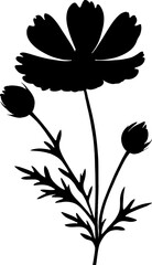 Isolated Cosmos flowers silhouette illustration on transparent background, floral design element, October’s birth month flowers, spring decoration, summer, gardening, wildflowers, graphic logo, icon