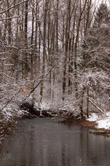 Wooded scene with a creek running through. Trees stand around the edges of the water with beautiful brown limbs holding onto to white snow. The water looks black and stands out from the surroundings.