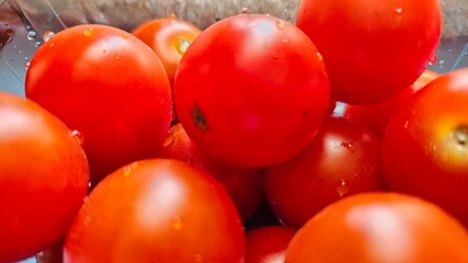 Fresh Red Tomatoes in Blue