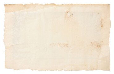 PNG Clean Paper herbarium page textured background paper backgrounds document. 