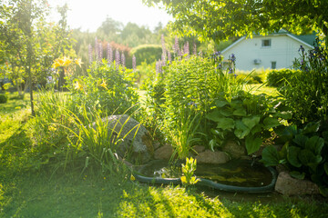 Small artificial pond on sunny summer day in the garden. Beautifully designed garden pond...