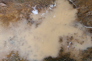Murky water puddle on dirt ground grunge texture