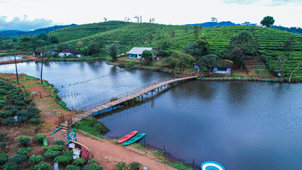 Munnar is the most beautiful tea plantation in Kerala 