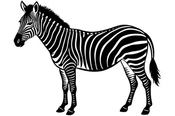 Zebra Silhouette vector illustration white background