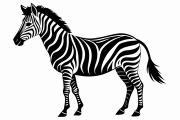 Zebra Silhouette vector illustration white background