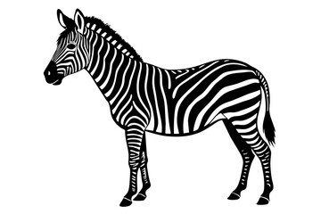 Zebra Silhouette vector illustration white background