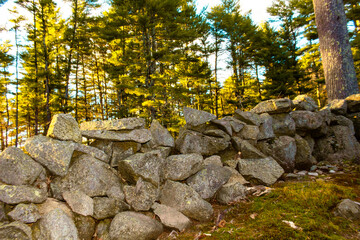 sunny stone wall with leaves
