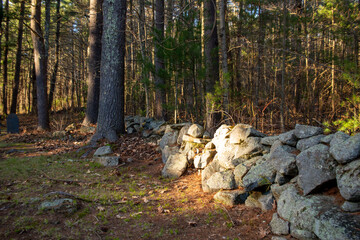 Old stone wall in the woods