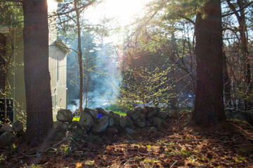 smoke rising from a cabin, morning in the forest